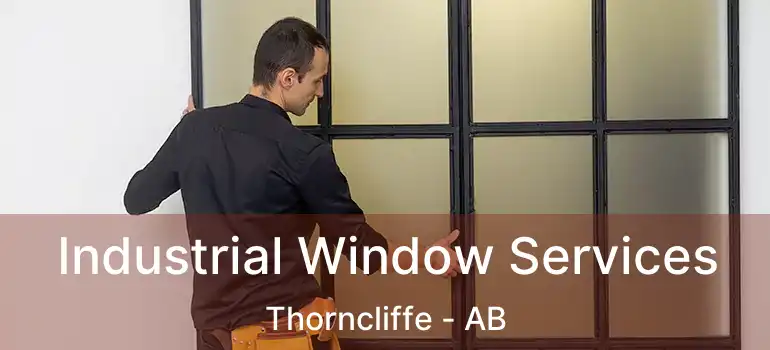  Industrial Window Services Thorncliffe - AB