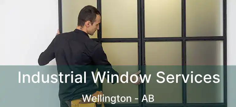  Industrial Window Services Wellington - AB