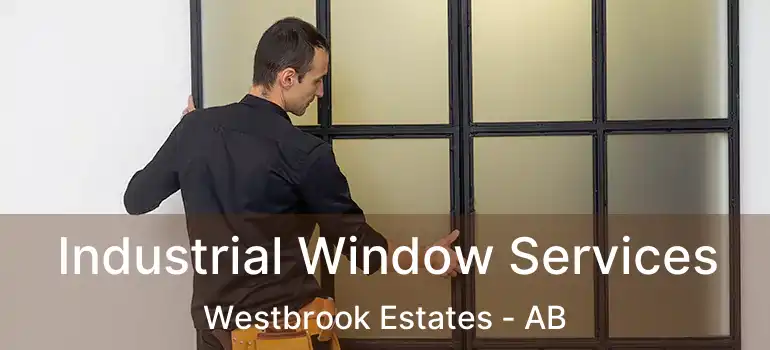  Industrial Window Services Westbrook Estates - AB