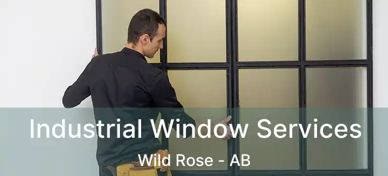  Industrial Window Services Wild Rose - AB