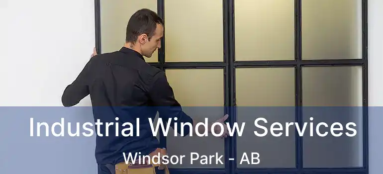  Industrial Window Services Windsor Park - AB