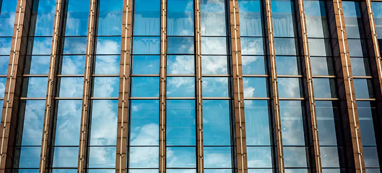 Professional Window Tinting Services in Edmonton, AB