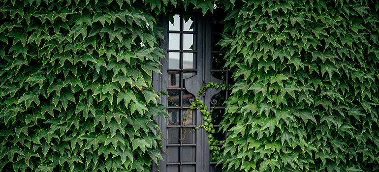 Garden Gate Repair in Edmonton, AB