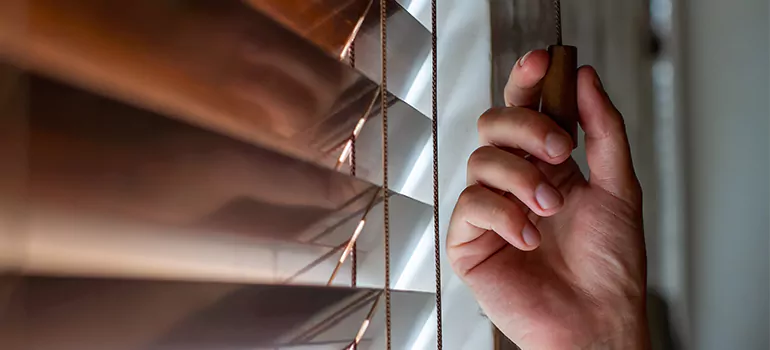 Double Roller Blinds in Edmonton, Alberta