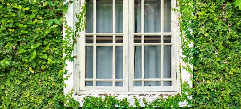 Garden Window Repair Near Me in Edmonton, AB