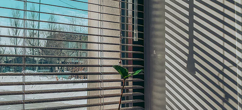 Commercial Window Blinds in Edmonton, AB