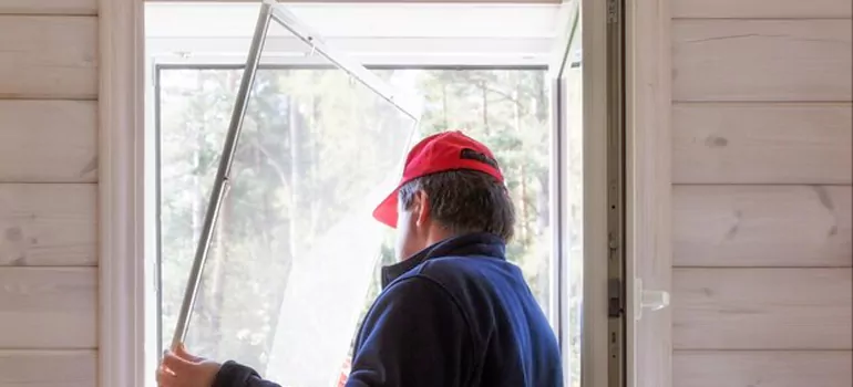 Expandable Window Screen Installation in Edmonton, Alberta