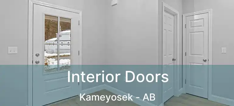  Interior Doors Kameyosek - AB