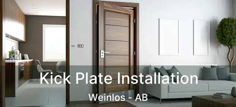  Kick Plate Installation Weinlos - AB