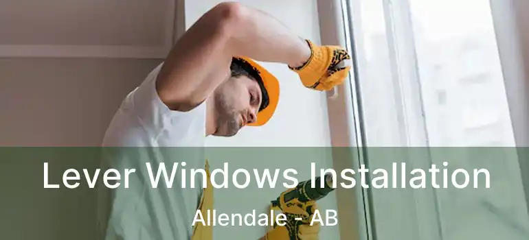  Lever Windows Installation Allendale - AB