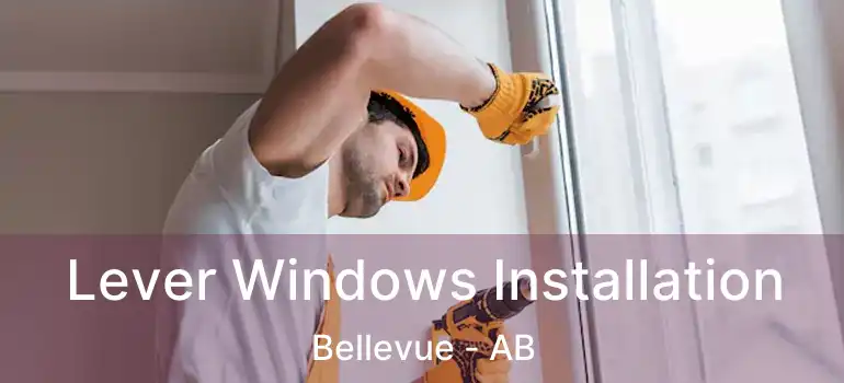  Lever Windows Installation Bellevue - AB