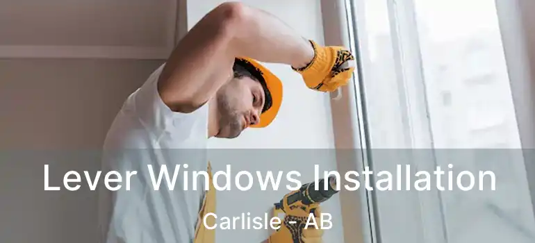  Lever Windows Installation Carlisle - AB