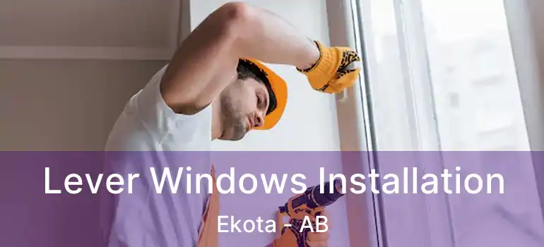  Lever Windows Installation Ekota - AB