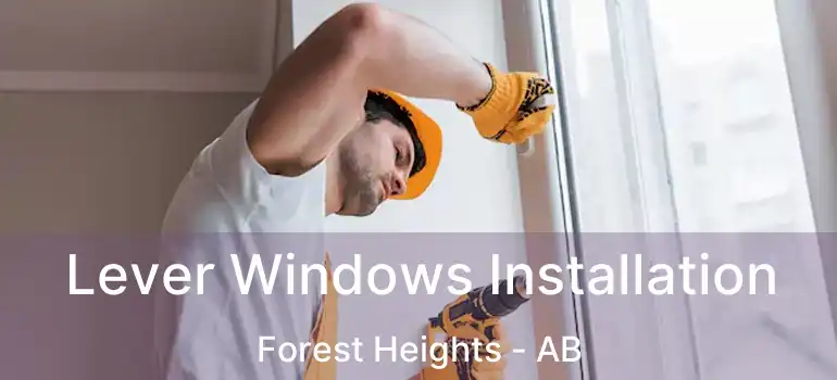  Lever Windows Installation Forest Heights - AB