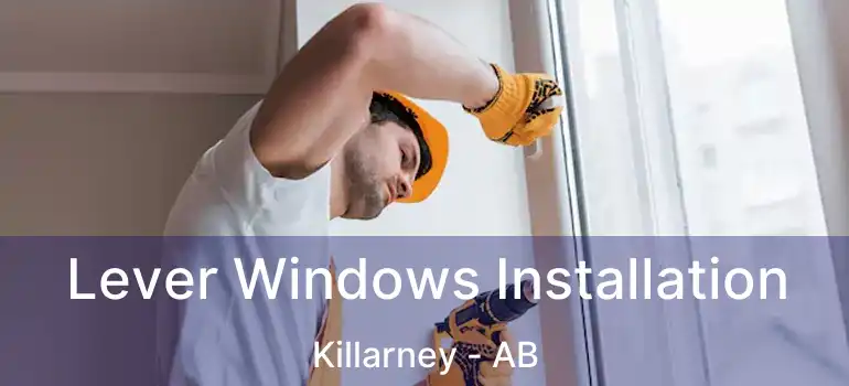  Lever Windows Installation Killarney - AB