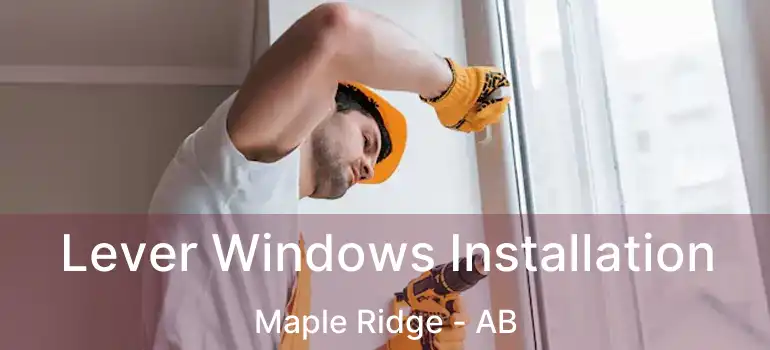  Lever Windows Installation Maple Ridge - AB