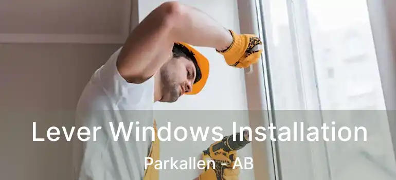  Lever Windows Installation Parkallen - AB