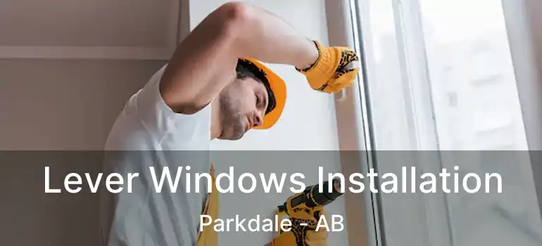  Lever Windows Installation Parkdale - AB