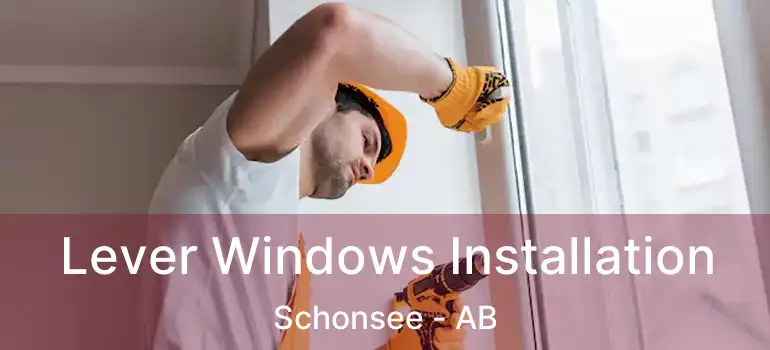  Lever Windows Installation Schonsee - AB