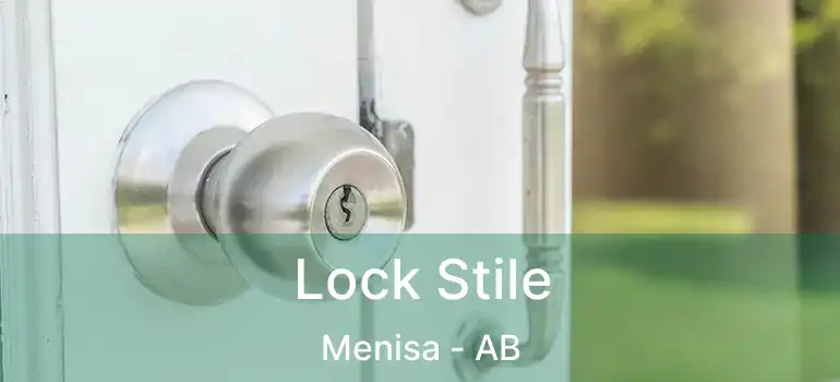  Lock Stile Menisa - AB
