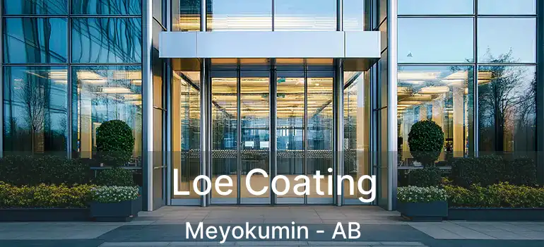  Loe Coating Meyokumin - AB
