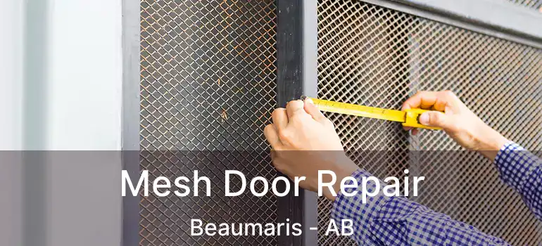  Mesh Door Repair Beaumaris - AB