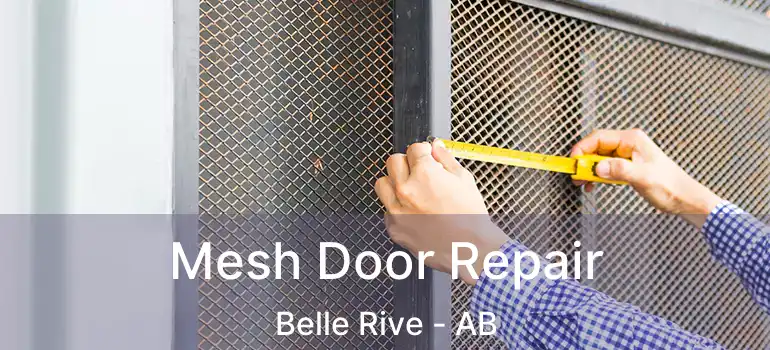  Mesh Door Repair Belle Rive - AB