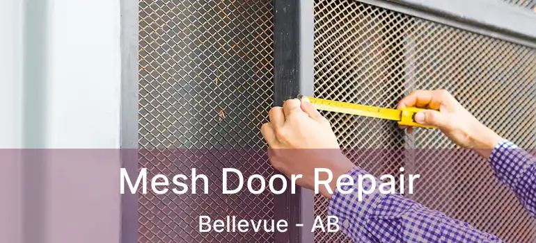  Mesh Door Repair Bellevue - AB