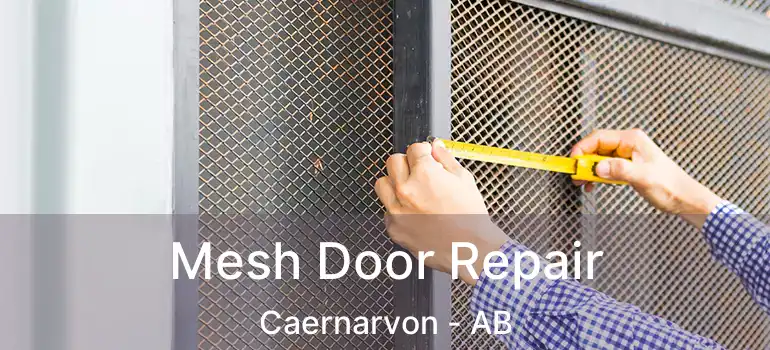  Mesh Door Repair Caernarvon - AB