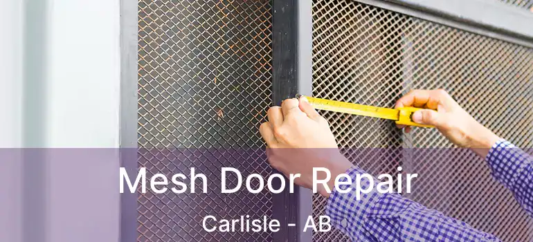  Mesh Door Repair Carlisle - AB