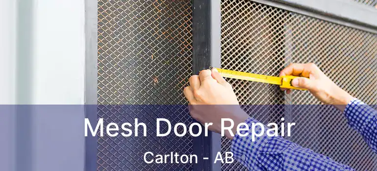  Mesh Door Repair Carlton - AB