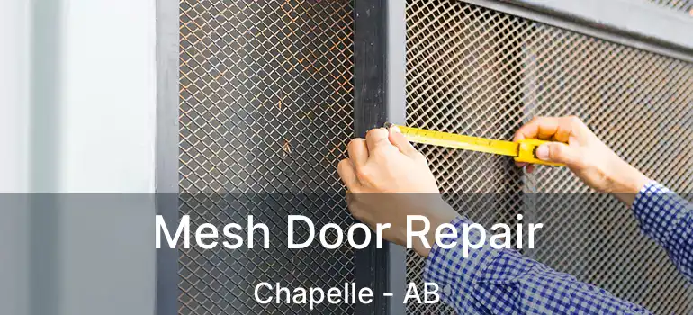  Mesh Door Repair Chapelle - AB