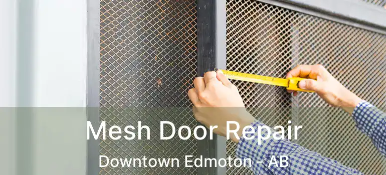  Mesh Door Repair Downtown Edmoton - AB