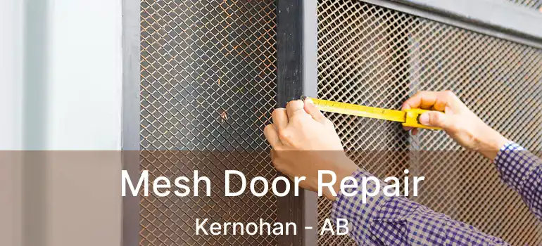  Mesh Door Repair Kernohan - AB