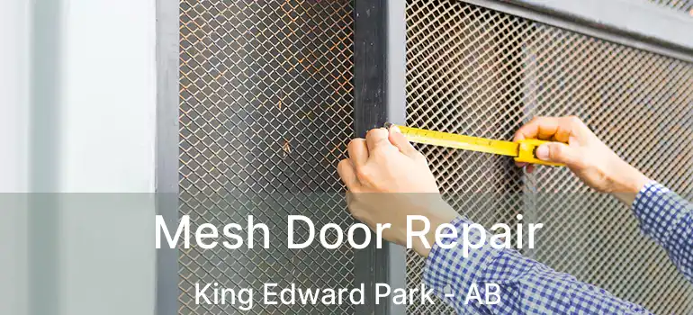  Mesh Door Repair King Edward Park - AB