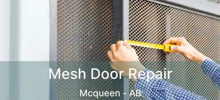  Mesh Door Repair Mcqueen - AB