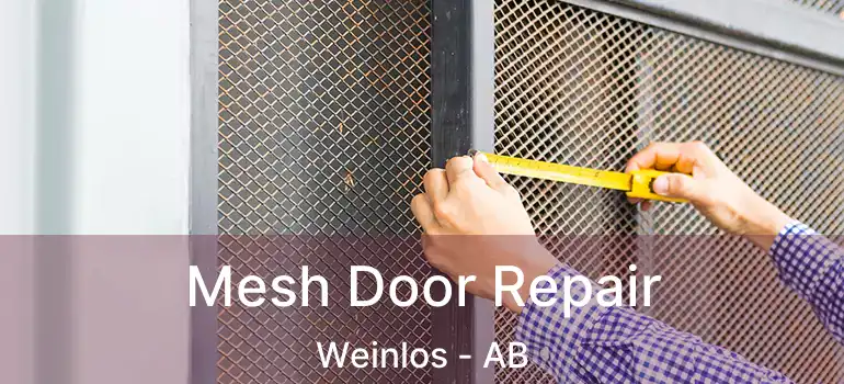  Mesh Door Repair Weinlos - AB