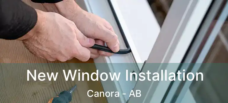  New Window Installation Canora - AB