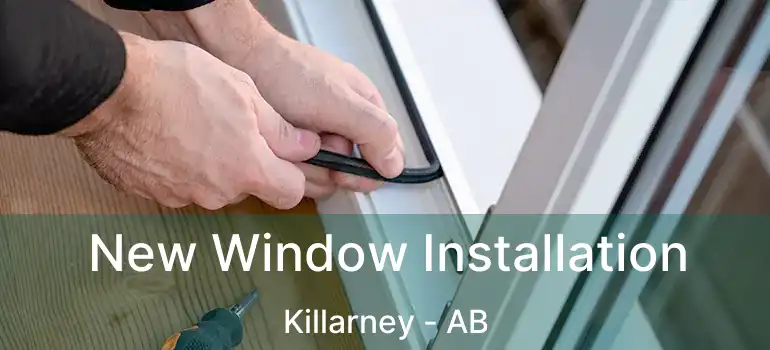 New Window Installation Killarney - AB