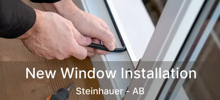  New Window Installation Steinhauer - AB
