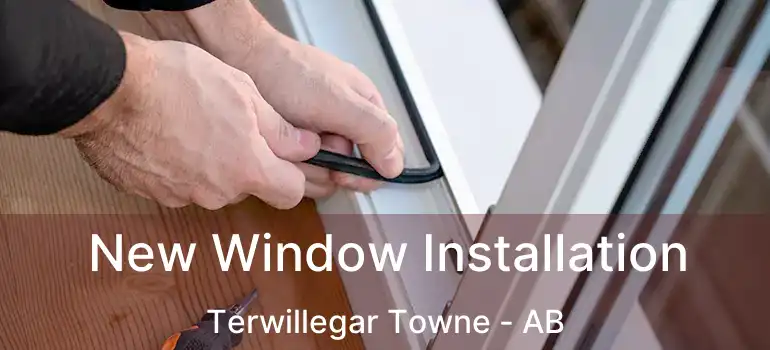  New Window Installation Terwillegar Towne - AB