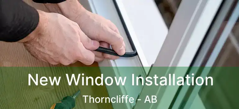  New Window Installation Thorncliffe - AB