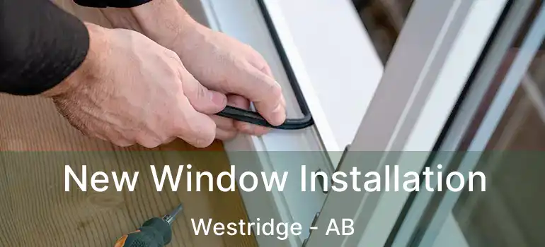  New Window Installation Westridge - AB