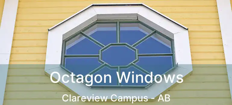  Octagon Windows Clareview Campus - AB