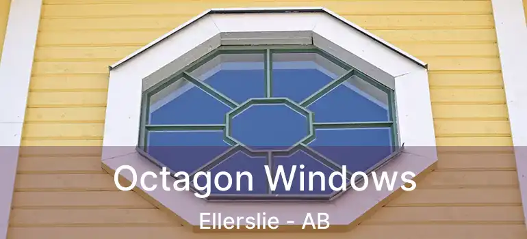  Octagon Windows Ellerslie - AB