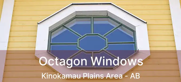  Octagon Windows Kinokamau Plains Area - AB