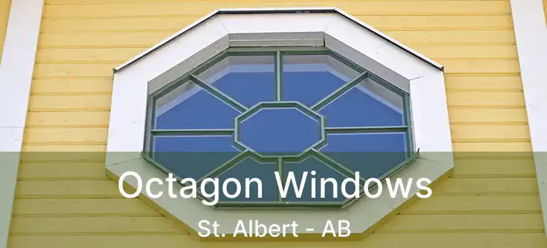  Octagon Windows St. Albert - AB