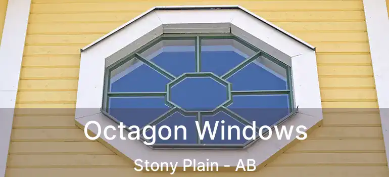  Octagon Windows Stony Plain - AB