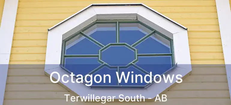  Octagon Windows Terwillegar South - AB