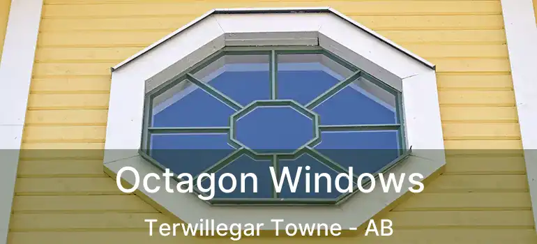  Octagon Windows Terwillegar Towne - AB
